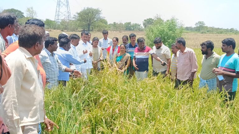 Vanteru: వడగండ్ల వానతో దెబ్బతిన్న పంట పరిశీలించిన వంటేరు Vanteru: వడగండ్ల వానతో దెబ్బతిన్న పంట పరిశీలించిన వంటేరు