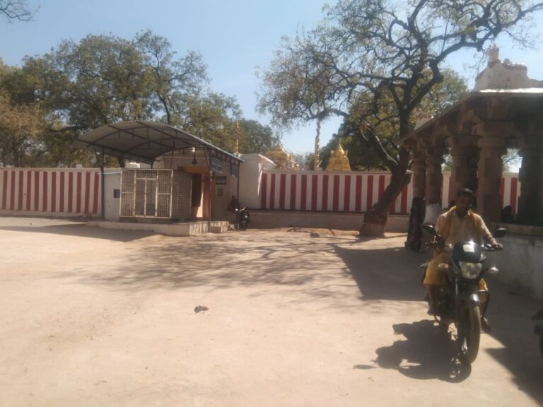Veldurthi-Bramhagundeswaram: పాము మనిషిగా మారిన క్షేత్రం ఇదే Veldurthi-Bramhagundeswaram: పాము మనిషిగా మారిన క్షేత్రం ఇదే
