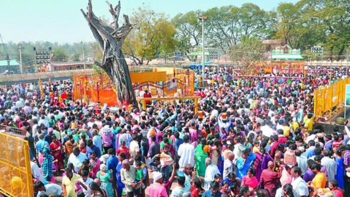 Mini Medaram Jatara