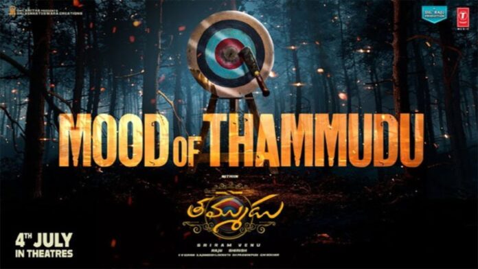Thammudu Movie