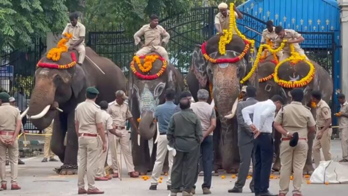 Kumki Elephants