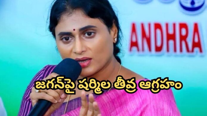 YS Sharmila Fire on Jagan
