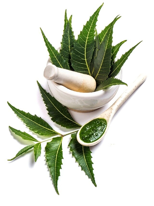 Neem Leaves: వేప ఆకుల వల్ల కలిగే  అద్భుతమైన లాభాలు ఇవే..