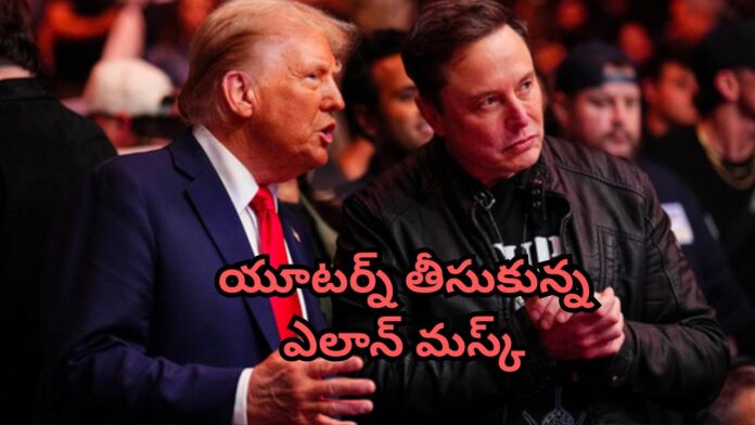 MUSK TRUMP