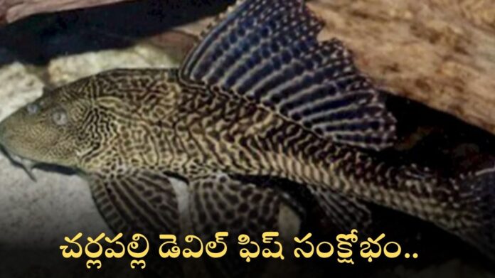 Cherlapally Lake