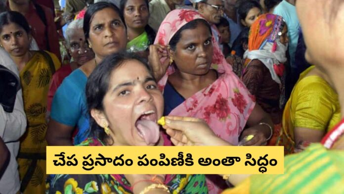 Fish Prasadam