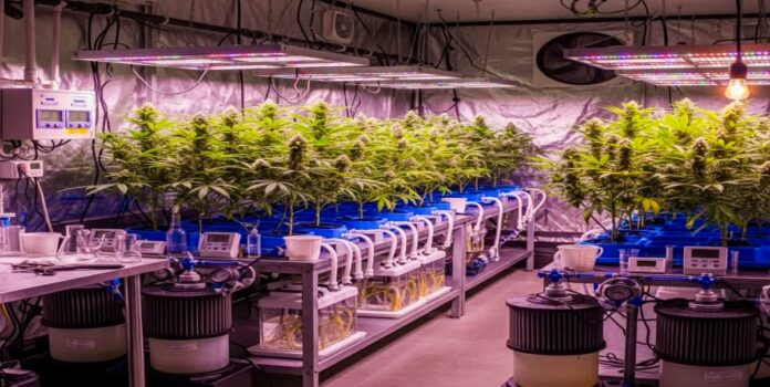 Hyderabad, drug seizure