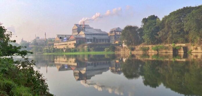 Environmental Pollution