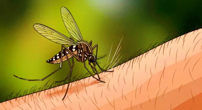 Dengue fever outbreak in Hyderabad