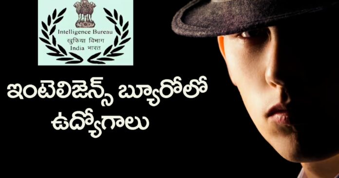 Intelligence Bureau job notification