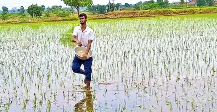 IT professionals weekend farming