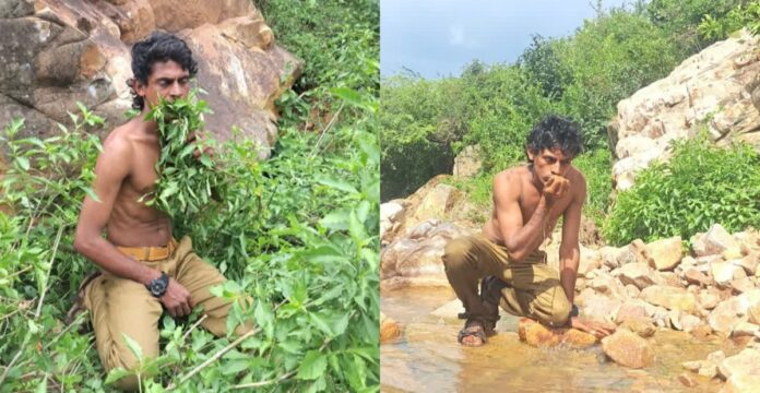 Man living on leaves in India