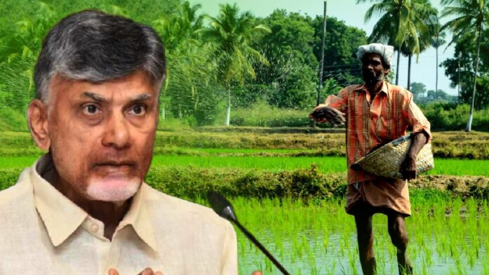 Andhra Pradesh Govt to Offer ₹800 Incentive Per Bag for Farmers Reducing Urea Use