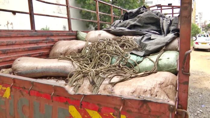 Interstate narcotics smuggling ring