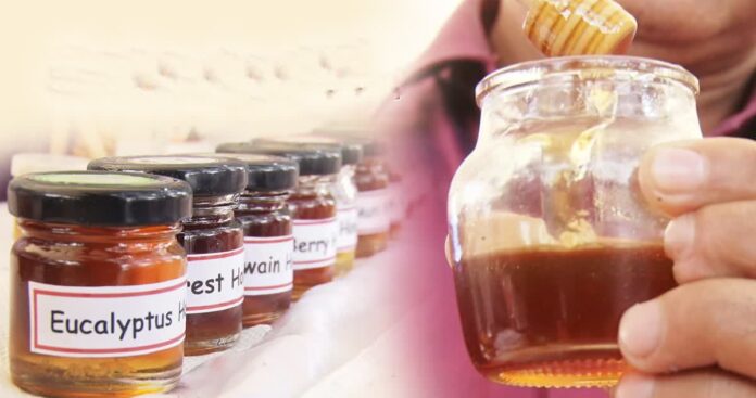 Madhya Pradesh 13 honey flavors