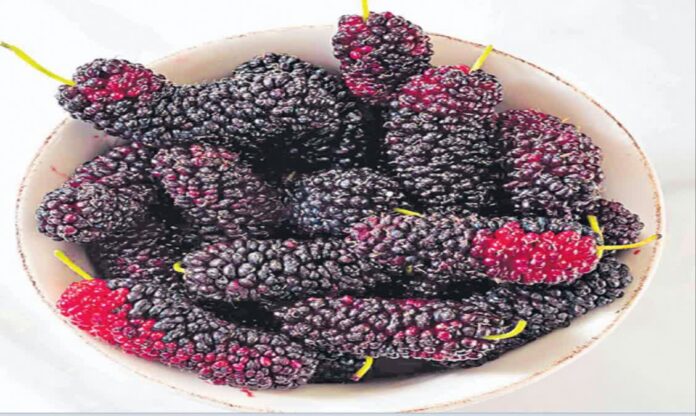 Health benefits of mulberry fruits