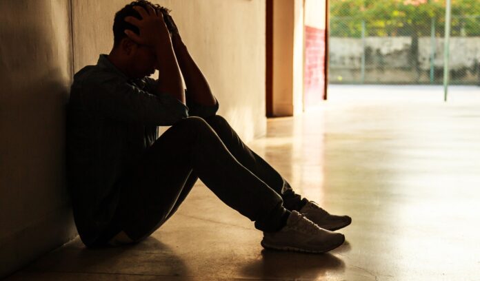 Student mental wellness survey