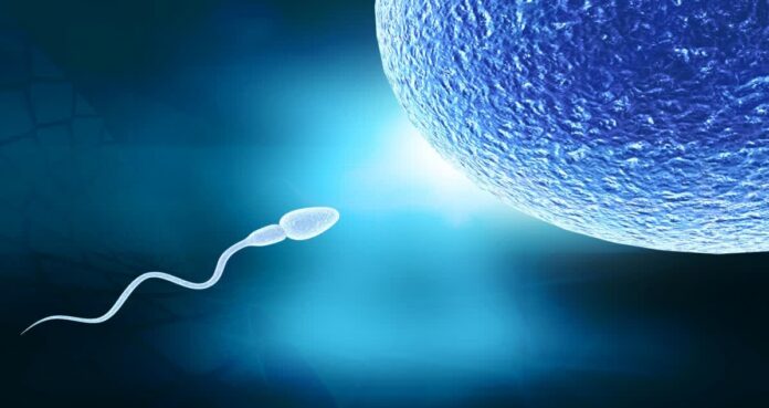 Modern Lifestyle and Infertility