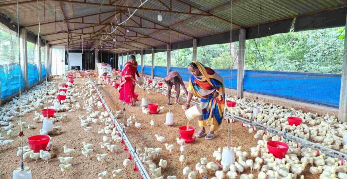 Integrated Farming Success