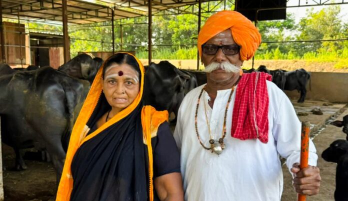 Dairy farming success story