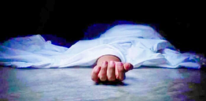 Hyderabad mother kills twins