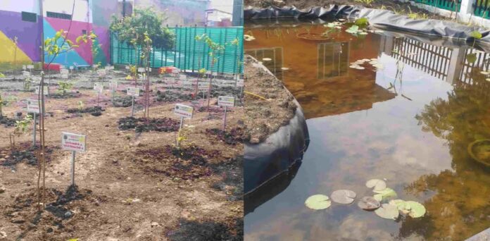 Urban bird conservation park