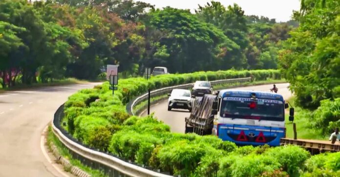 Wildlife protection on national highways