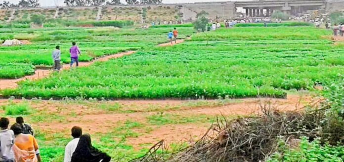 HMDA land encroachment Ghatkesar