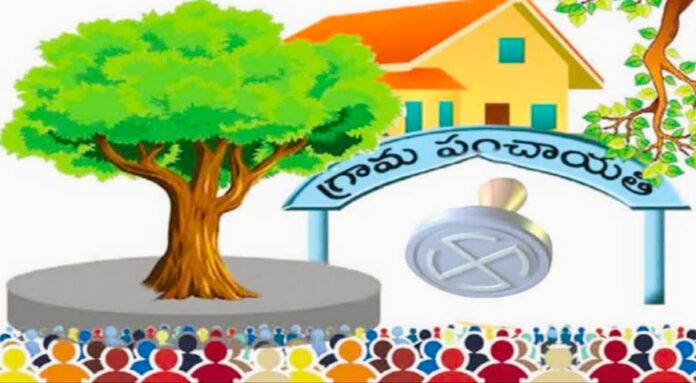 Local body election reform