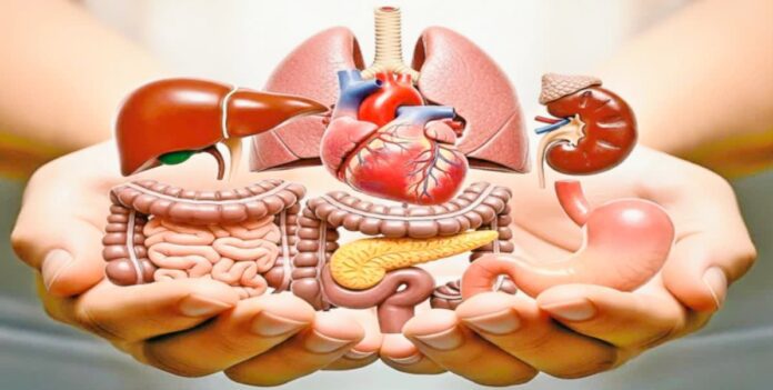 Organ donation awareness in Warangal