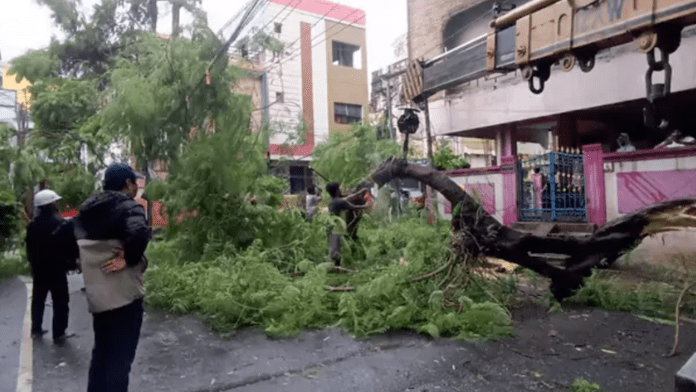 Montha Bhari Chettu electric