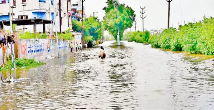Warangal Urban Flooding