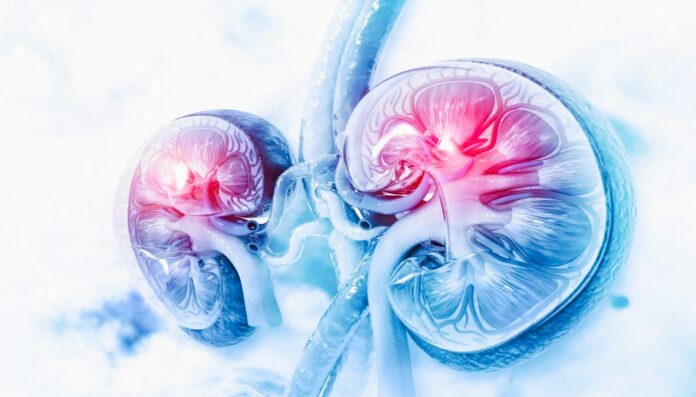 Chronic Kidney Disease from Heat Stress