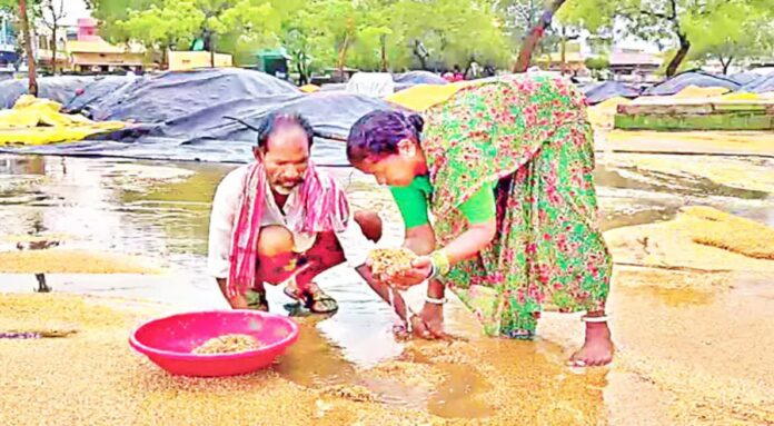 Unused paddy dryers in Telangana