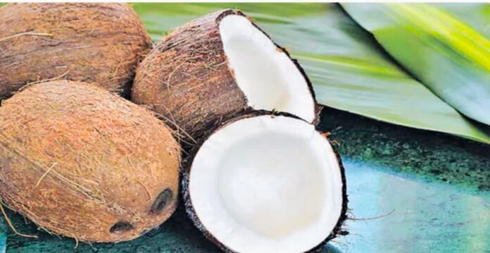 Coconut price hike in Telangana