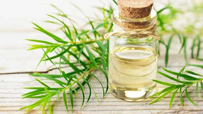 Tea Tree Oil